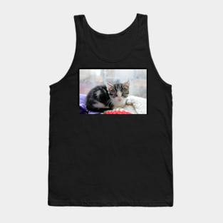 How Much is the Kitty in the Window Tank Top